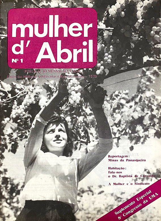 Fem Pub 1960–1990: A Visual Compendium of Feminist Periodicals